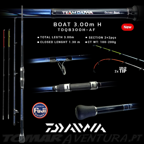 Cana Team Daiwa Quiver Boat TDQB300H-AF 3,00m