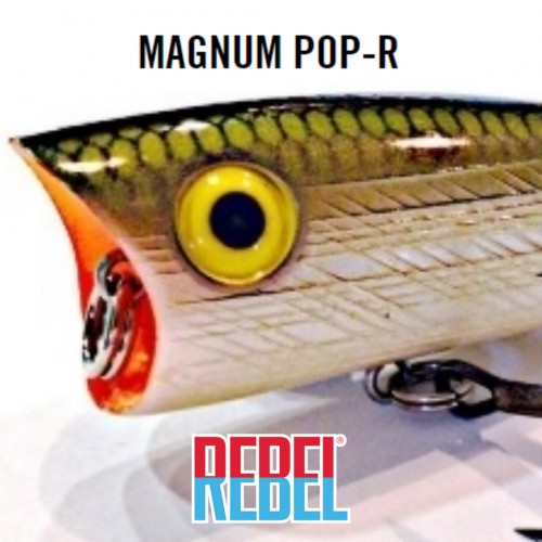 Amostra Rebel Magnum Pop-R
