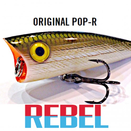 Amostra Rebel Pop-R