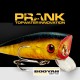 Amostra Booyah Prank