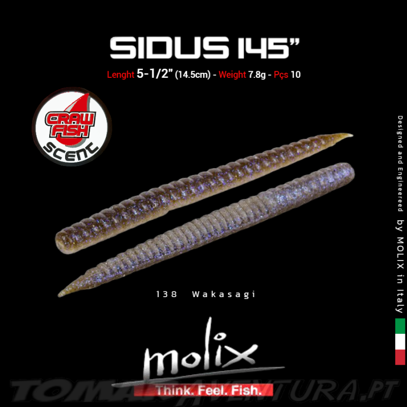 Molix SIDUS 145