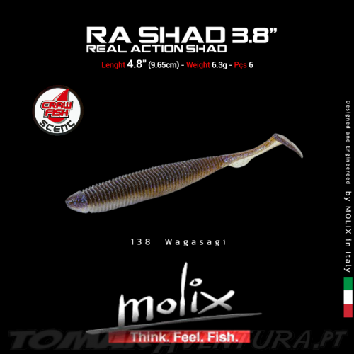 Molix RA Shad 3,8"