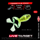 Live Target Freestyle Frog 2"