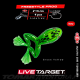 Live Target Freestyle Frog 2"