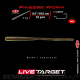 Live Target Finesse Worm 6.5"