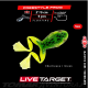 Live Target Freestyle Frog 2"