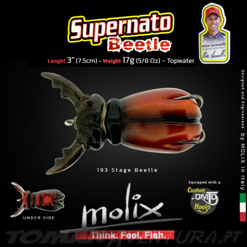 Molix Supernato Beetle