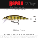 Amostra Rapala X-Rap Countdown