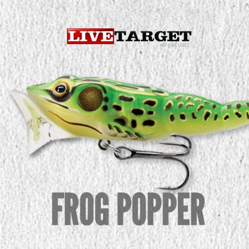 Amostra Live Target Frog Popper