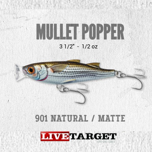 Amostra Livetarget Mulet Popper