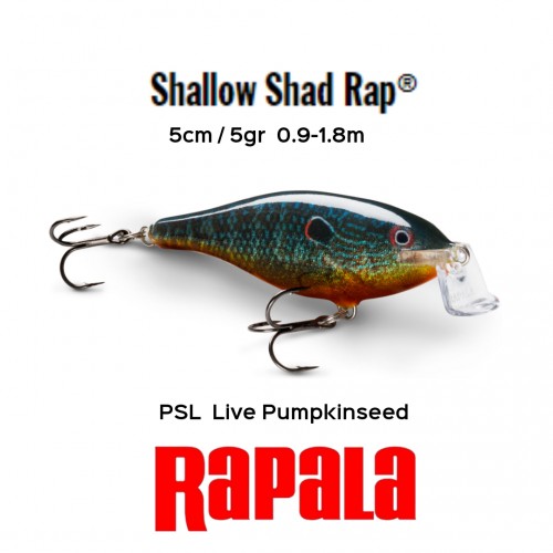 Amostra Rapala Shallow Shad Rap 05