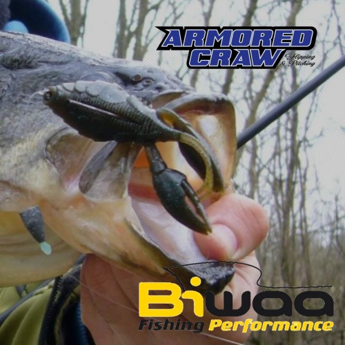 Amostra Biwaa Armored Craw 4´