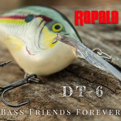 Amostra Rapala DT-6