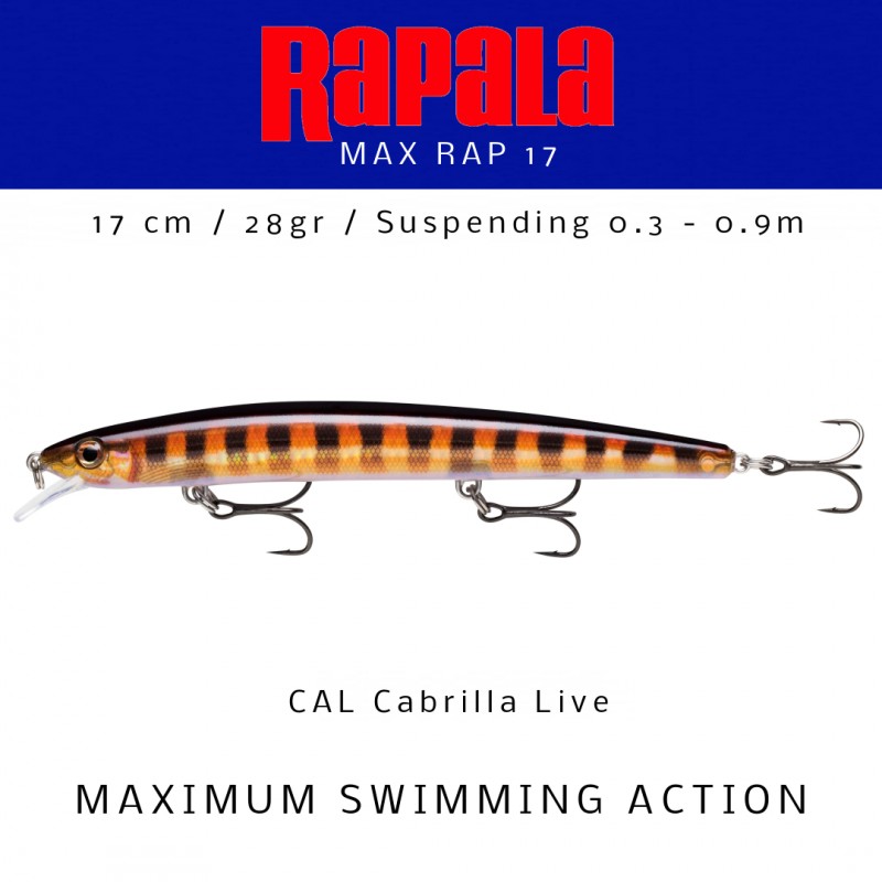 Amostra Rapala MaxRap 17
