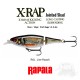 Amostra Rapala X-Rap Jointed Shad 13