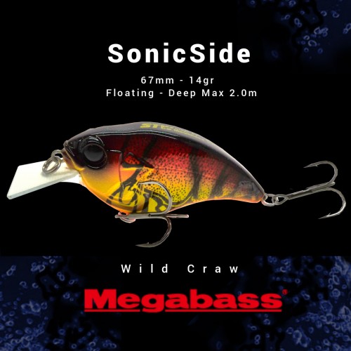 Amostra Megabass SinicSide
