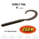 Curly Tail Worm