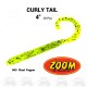 Curly Tail Worm
