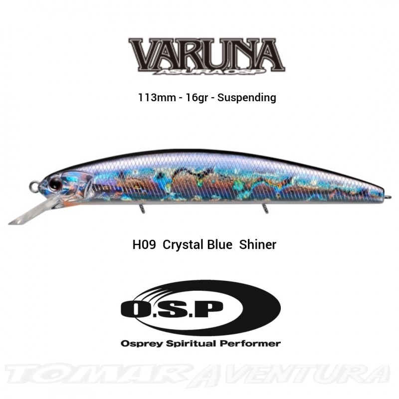 Amostra Jerkbait OSP Varuna 110SP