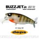 Amostra Deps Buzzjet Jr