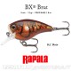 Amostra  Rapala BX Brat Square Bill Cranck