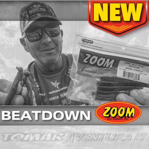 ZOOM BEATDOWN