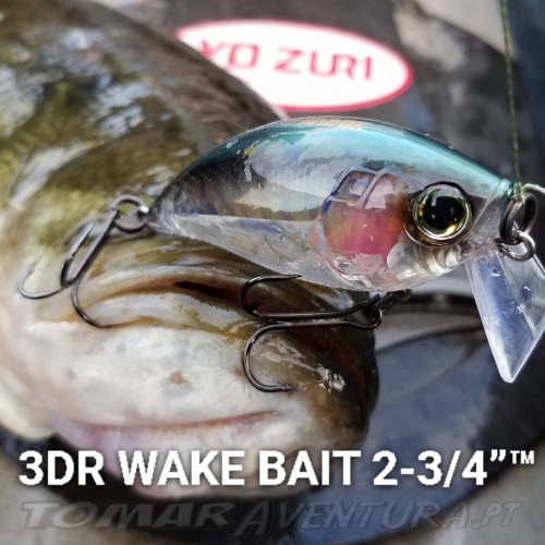 Amostra Yo-zuri 3DR WAKE BAIT 70 (F)