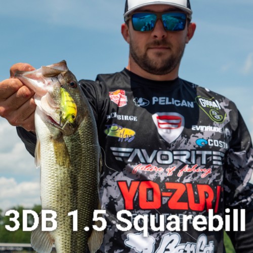 Amostra Yo-Zuri 3DB 1.5 Squarebill 60 F