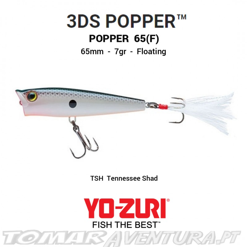 Amostra Yo-Zuri 3DS Pooper 65 F
