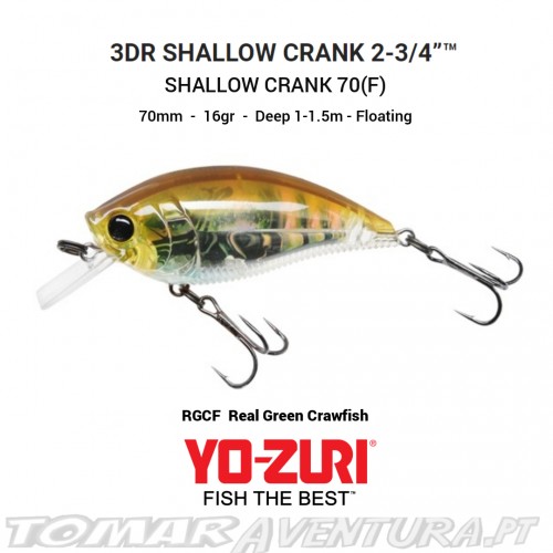 Yo-Zuri 3DR Shallow Crank 70 (F)