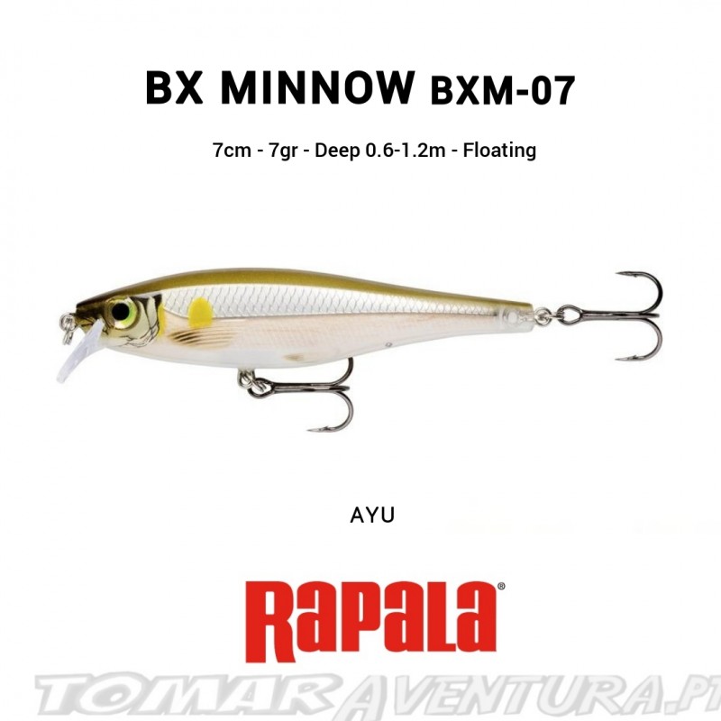 Amostra Rapala BX Minnow 07