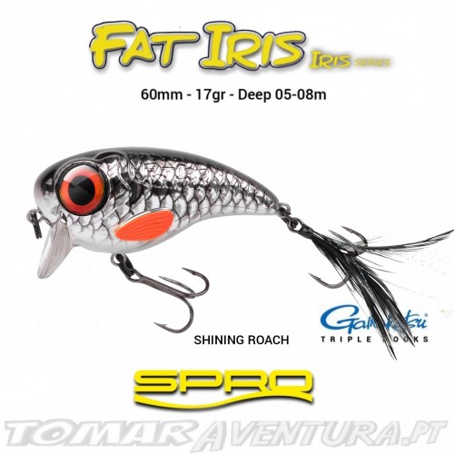 Spro Fat Iris 60
