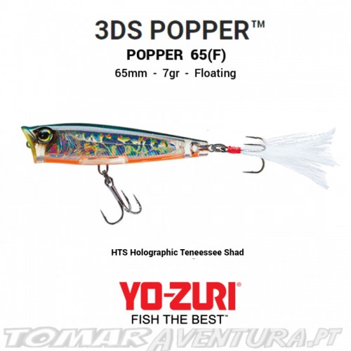 Amostra Yo-Zuri 3DS Pooper 65 F