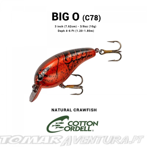 Amostra Cotton Cordell Big O