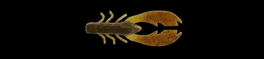 Craws/Cangrejo de Río