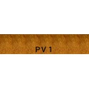 Colantes PV1
